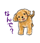 茶犬たち3（個別スタンプ：23）