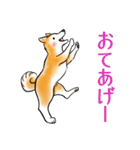 茶犬たち3（個別スタンプ：28）