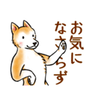 茶犬たち3（個別スタンプ：35）