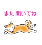 茶犬たち3（個別スタンプ：37）