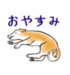 茶犬たち3（個別スタンプ：40）