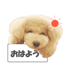 くーちゃん．（個別スタンプ：1）