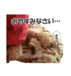 くーちゃん．（個別スタンプ：2）