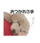 くーちゃん．（個別スタンプ：3）