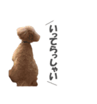 くーちゃん．（個別スタンプ：4）