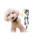 くーちゃん．（個別スタンプ：6）