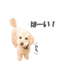 くーちゃん．（個別スタンプ：7）