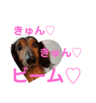 幸之助さん3（個別スタンプ：1）