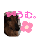 幸之助さん3（個別スタンプ：8）