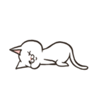 白猫ここすけ2（個別スタンプ：4）