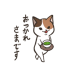 白猫ここすけ2（個別スタンプ：6）