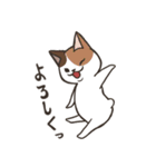 白猫ここすけ2（個別スタンプ：10）