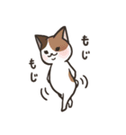 白猫ここすけ2（個別スタンプ：12）