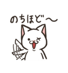 白猫ここすけ2（個別スタンプ：13）
