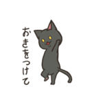 白猫ここすけ2（個別スタンプ：14）
