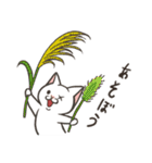 白猫ここすけ2（個別スタンプ：24）