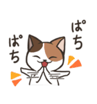 白猫ここすけ2（個別スタンプ：34）