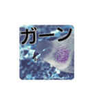 とりだこりやスタンプ（個別スタンプ：8）
