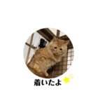 くぅスタンプ‪‪☺︎‬（個別スタンプ：17）