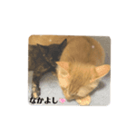 くぅスタンプ‪‪☺︎‬（個別スタンプ：22）