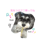 今日の❤️ワンコ〜7〜（個別スタンプ：2）