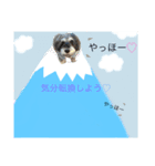 今日の❤️ワンコ〜7〜（個別スタンプ：6）