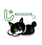 白黒猫(ポンポンしっぽ)の見易い日々の会話（個別スタンプ：1）