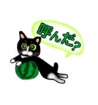 白黒猫(ポンポンしっぽ)の見易い日々の会話（個別スタンプ：4）