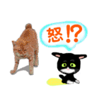 白黒猫(ポンポンしっぽ)の見易い日々の会話（個別スタンプ：32）