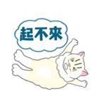 KITTEN CHILA（個別スタンプ：4）