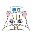 KITTEN CHILA（個別スタンプ：27）