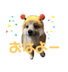 えり太セレクション（個別スタンプ：3）