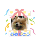 えり太セレクション（個別スタンプ：7）