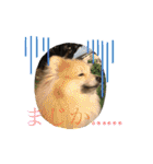えり太セレクション（個別スタンプ：11）