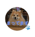 えり太セレクション（個別スタンプ：12）