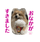 えり太セレクション（個別スタンプ：14）