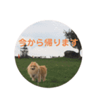 えり太セレクション（個別スタンプ：18）