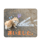 えり太セレクション（個別スタンプ：19）
