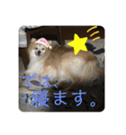 えり太セレクション（個別スタンプ：22）