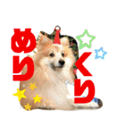 えり太セレクション（個別スタンプ：23）