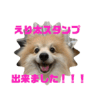 えり太セレクション（個別スタンプ：24）