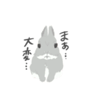 team 生き物（個別スタンプ：13）