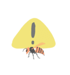 team 生き物（個別スタンプ：14）