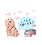 マルプー❤ティアラのスタンプ（個別スタンプ：2）