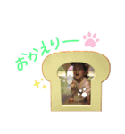 にいなっちスタンプ（個別スタンプ：15）