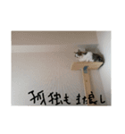 はまち vol.4（個別スタンプ：2）
