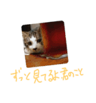 はまち vol.4（個別スタンプ：4）