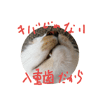 はまち vol.4（個別スタンプ：14）