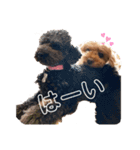 Roi＆Reine（個別スタンプ：8）