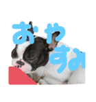 可愛い蜥蜴スタンプ♬︎♡（個別スタンプ：2）